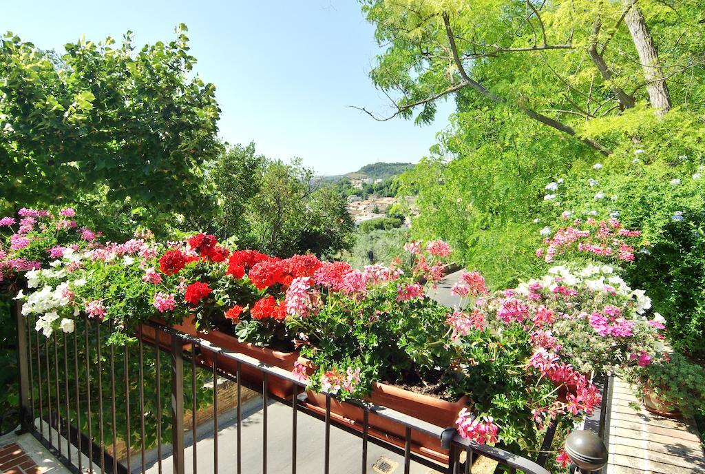 Villa Fiorita Гроттаммаре Екстер'єр фото